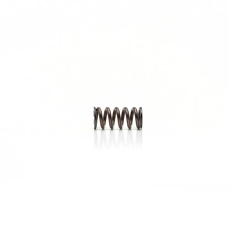 Extractor Spring for CZ +10%