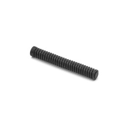 Recoil spring CZ P-07